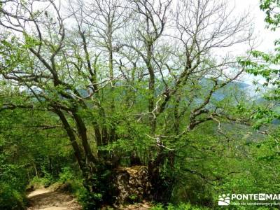 Ruta del Cares - Garganta Divina - Parque Nacional de los Picos de Europa;trekking y aventura